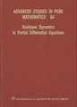 Nonlinear Dynamics in Partial Differential Equations