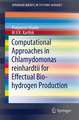 Computational Approaches in Chlamydomonas reinhardtii for Effectual Bio-hydrogen Production