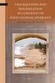 Creolization and Pidginization in Contexts of Postcolonial Diversity: Language, Culture, Identity