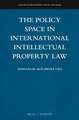 The Policy Space in International Intellectual Property Law