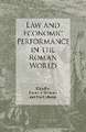 Law and Economic Performance in the Roman World