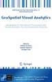 GeoSpatial Visual Analytics: Geographical Information Processing and Visual Analytics for Environmental Security