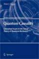 Quantum Causality: Conceptual Issues in the Causal Theory of Quantum Mechanics