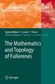 The Mathematics and Topology of Fullerenes