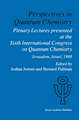 Perspectives in Quantum Chemistry: Plenary Lectures Presented at the Sixth International Congress on Quantum Chemistry Held in Jerusalem, Israel, August 22–25 1988