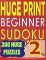 Huge Print Beginner Sudoku 2