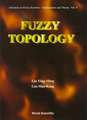 Fuzzy Topology