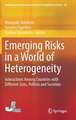 Emerging Risks in a World of Heterogeneity: Interactions Among Countries with Different Sizes, Polities and Societies