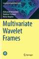 Multivariate Wavelet Frames
