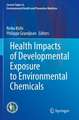 Health Impacts of Developmental Exposure to Environmental Chemicals