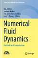 Numerical Fluid Dynamics: Methods and Computations