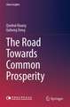 Road Towards Common Prosperity