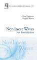 Nonlinear Waves