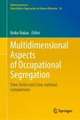 Multidimensional Aspects of Occupational Segregation : Time Series and Cross-National Comparisons