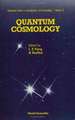 QUANTUM COSMOLOGY (V3)