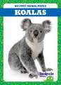 Koalas