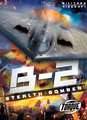 B2 Stealth Bomber