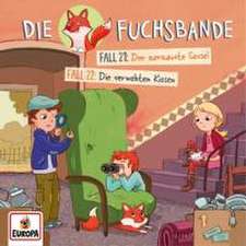 Die Fuchsbande 11. Fall 21: Der zerzauste Sessel / Fall 22: Die verwehten Kissen