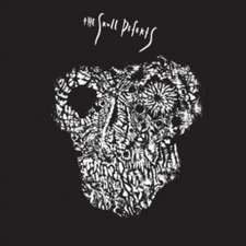 The Skull Defects