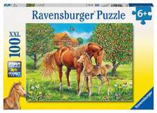 Pferdeglück auf Wiese Puzzle 100 Teile