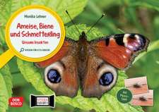 Ameise, Biene und Schmetterling. Unsere Insekten. Kamishibai Bildkarten und Memo-Spiel.