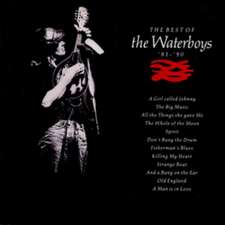 The Best of The Waterboys '81-'90