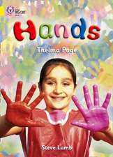 BIG CAT - HANDS