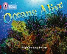 BIG CAT - OCEANS ALIVE