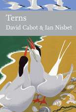 Cabot, D: Terns