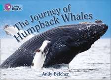 The Journey of Humpback Whales