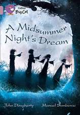 BIG CAT - MIDSUMMER NIGHTS