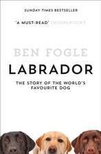 Fogle, B: Labrador