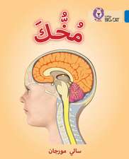 BIG CAT ARABIC - UR BRAIN