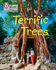 BIG CAT - TERRIFIC TREES