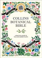 BOTANICAL BIBLE PLC