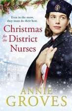 Christmas for the District Nurses