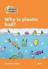 Why Is Plastic Bad?: Level 4