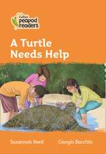 Level 4 - A Turtle Needs Help