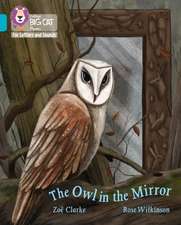 The Owl in the Mirror