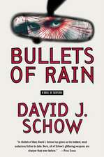 Bullets of Rain: A Novel of Suspense