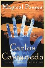 Magical Passes: The Practical Wisdom of the Shamans of Ancient Mexico