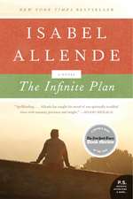 The Infinite Plan: A Novel