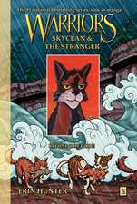 Beyond the Code: Warriors Manga: SkyClan and the Stranger vol 2