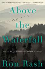 Above the Waterfall: A Novel