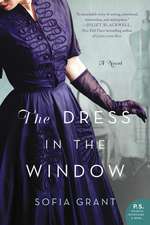 The Dress in the Window: A Novel