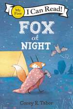 Tabor, C: Fox at Night
