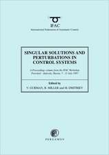 Singular Solutions and Perturbations in Control Systems