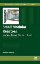 Small Modular Reactors: Nuclear Power Fad or Future?