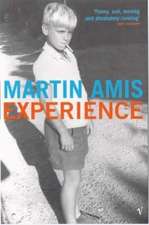 Amis, M: Experience