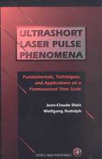 Ultrashort Laser Pulse Phenomena: Fundamentals, Techniques, and Applications on a Femtosecond Time Scale